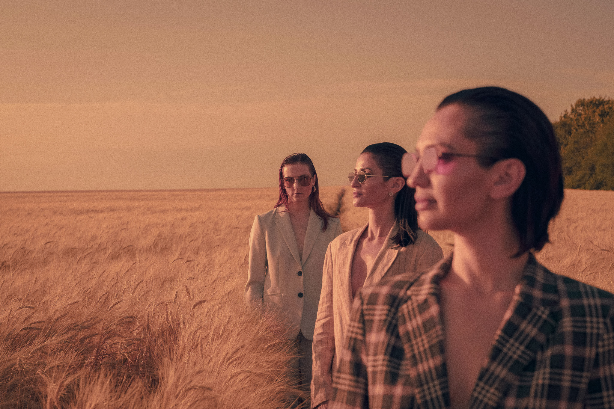 Picture of three luxury females in a field.